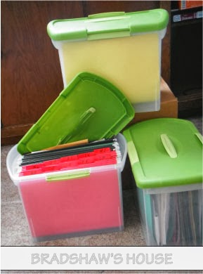 Connie Bradshaw: Functional Filing System #2