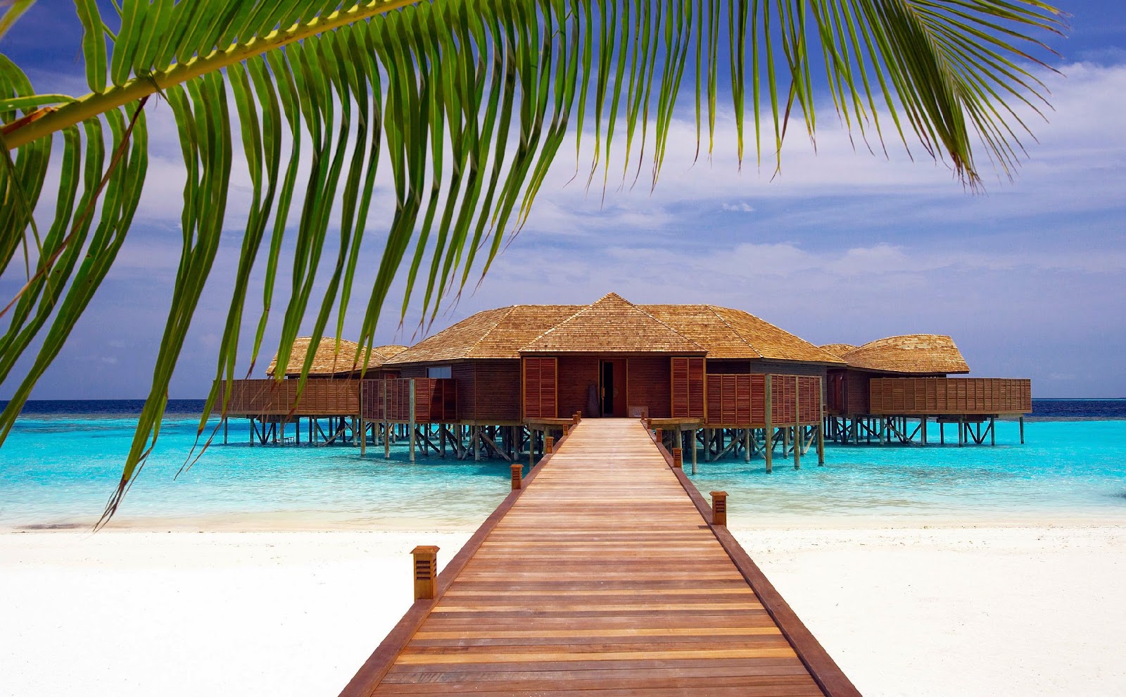 Lily Beach Maldives #8875204