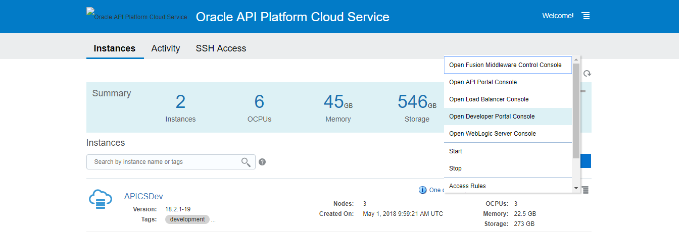 Creating an Oracle API Platform Cloud Service (CS) Instance - TechSupper