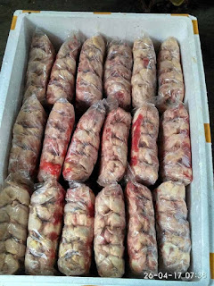 Jual Daging Puyuh