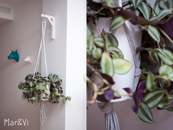 Porta macetas macramé paso a paso