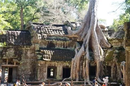 Ta Prohm 