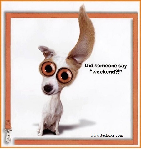 Best wishes for weekend Best wishes for weekend