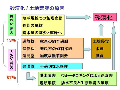 砂漠化の過程とその危険性