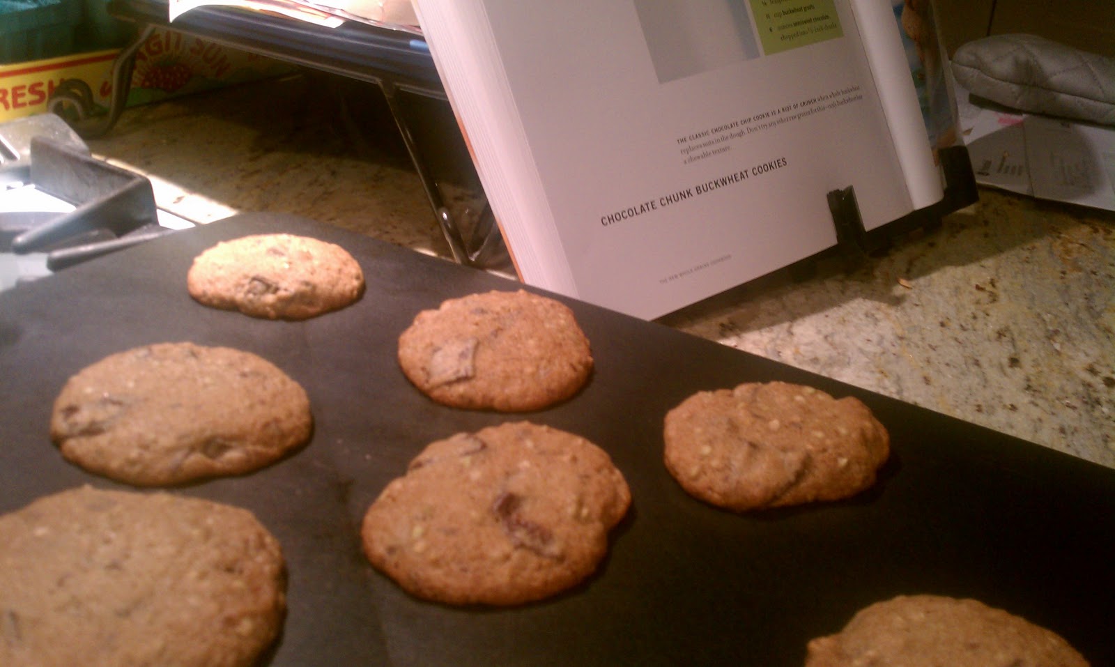 Recipe Codex Dessert Chocolate Chunk Buckwheat Cookies