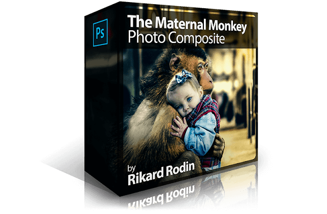The Maternal Monkey Photo Composite