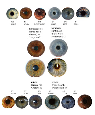 expressing your truth blog: Eye Types