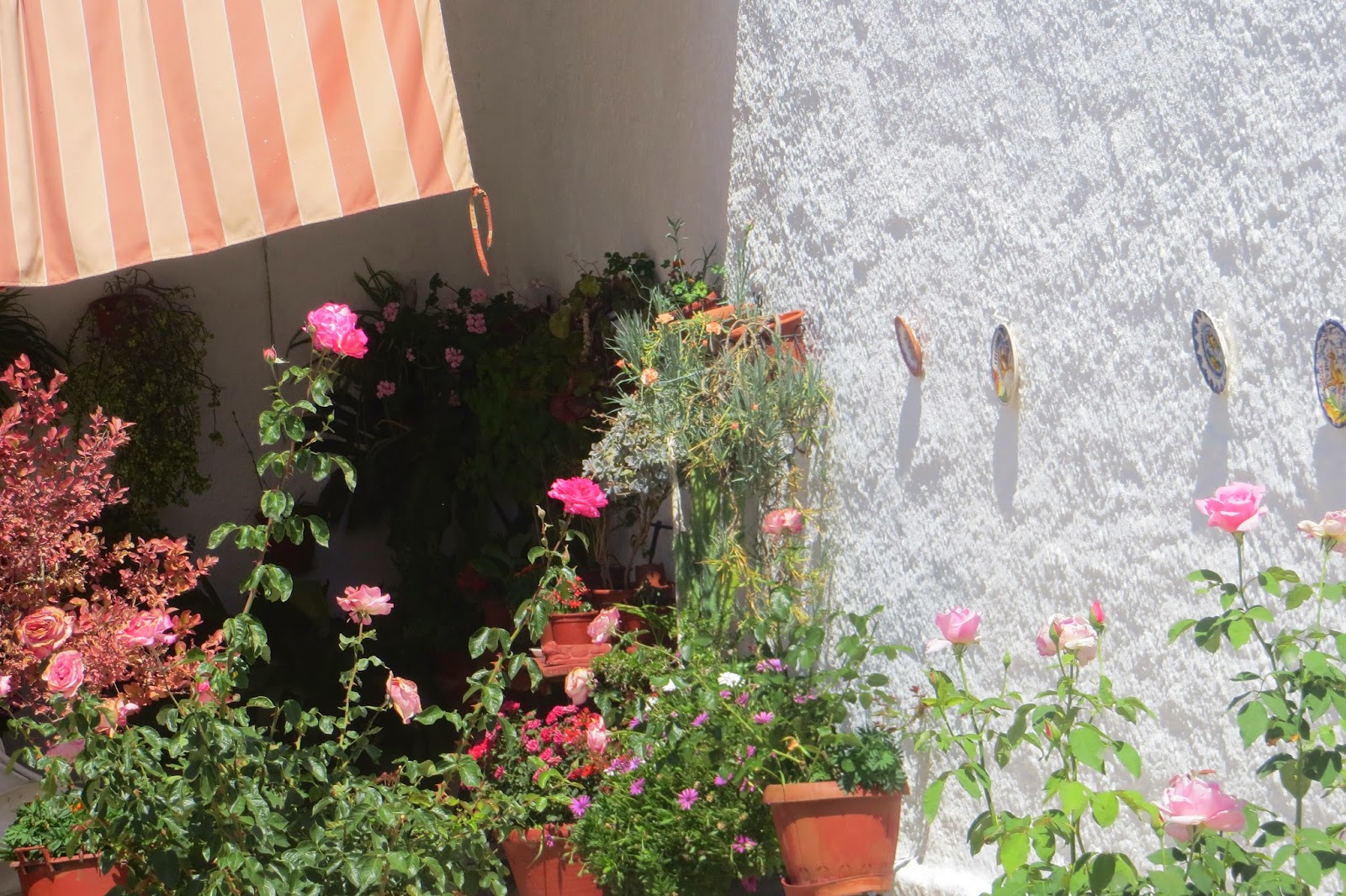 CPR.BEMBEZAR: LOS PATIOS DE CÉSPEDES EN LA PRIMAVERA DEL AÑO 2014