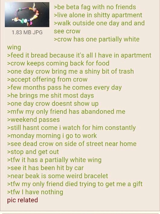 A large dump of various greentext stories, both funny and sad Hilarious images daily