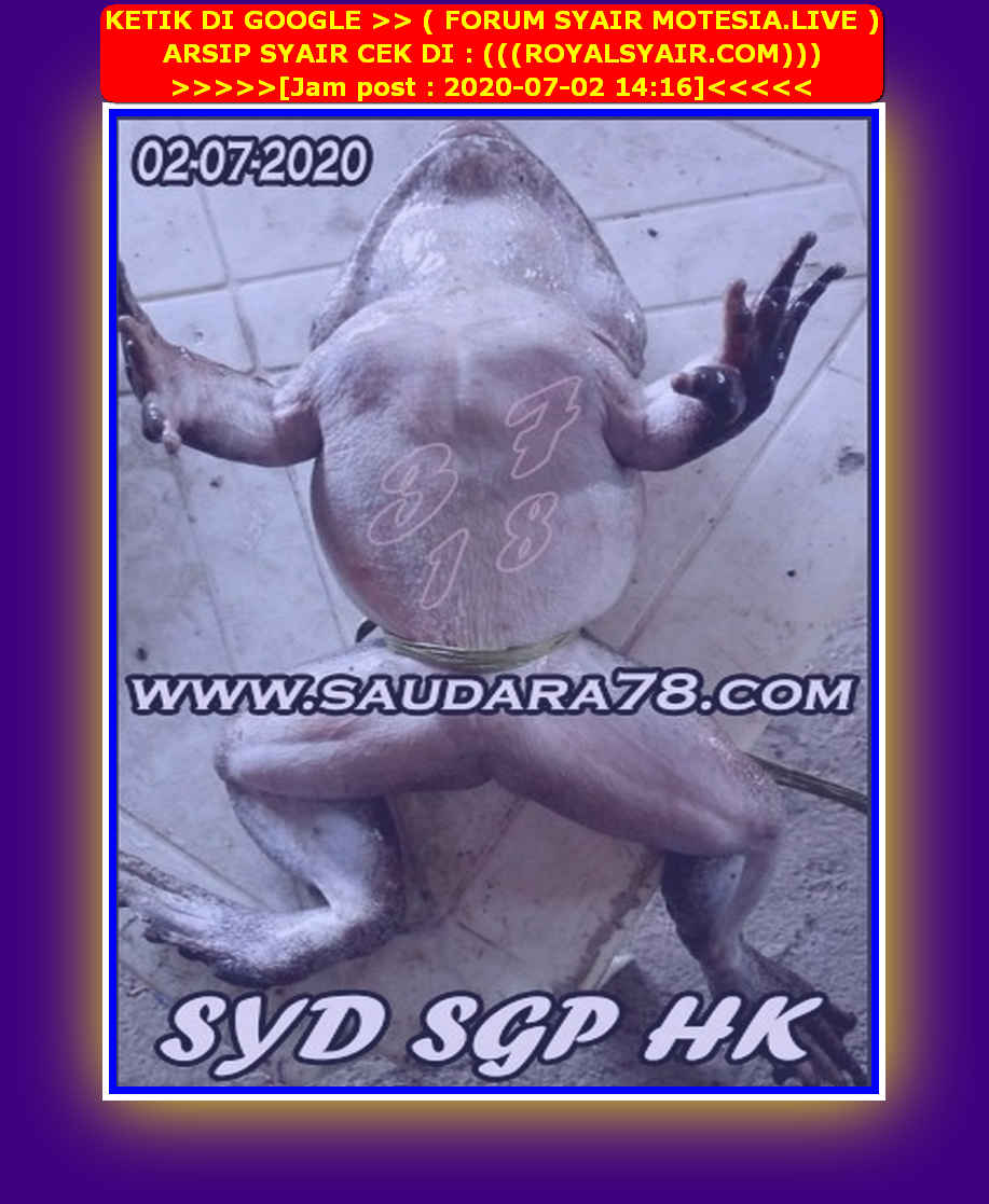 forum syair hk Meloditogel