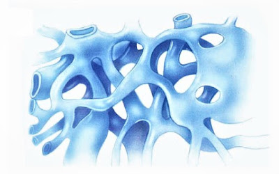 gambar dari retikulum endoplasma halus gambar dari retikulum endoplasma halus