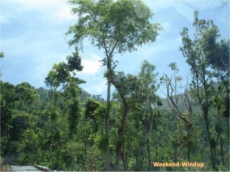 Yercaud Season Yercaud Weather