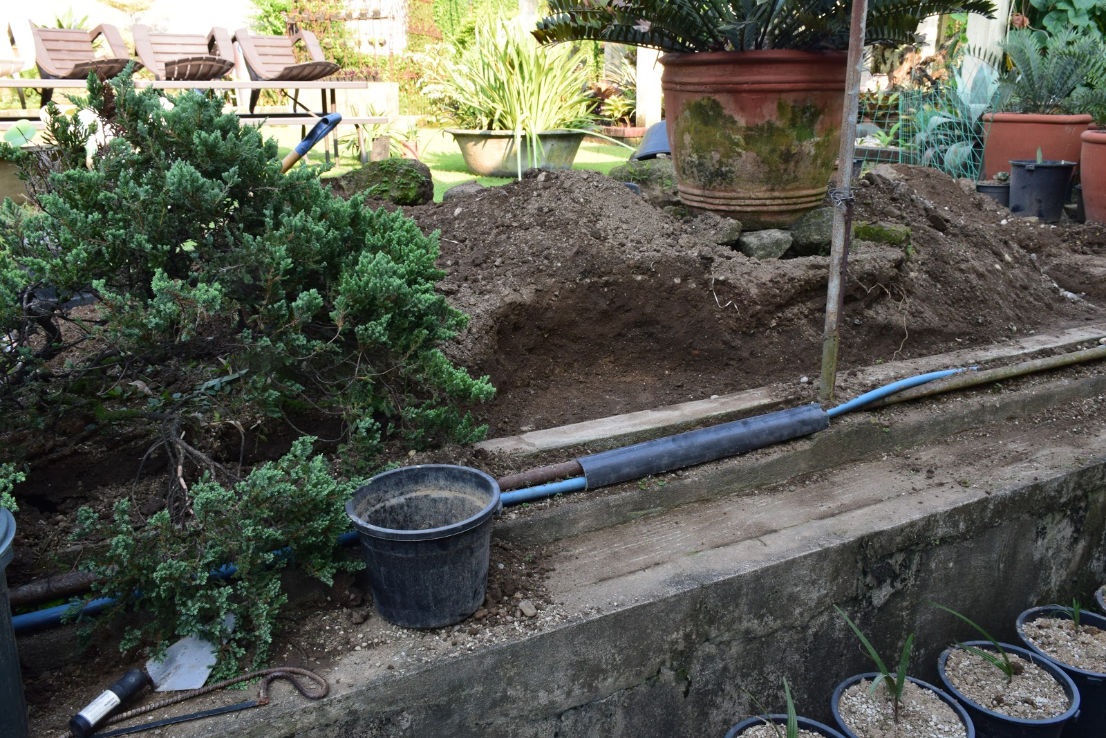 Polystyrene Garden Junkie How To Create A Polystyrene Box Garden