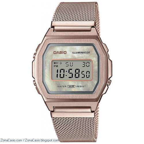 casio marlin 2021