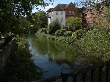 Londres 2011 - Blogs de Reino Unido - Día 6: 13 de Septiembre. Salisbury. (8)