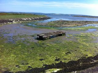 Abandoned jetty, Lymington, Hampshire