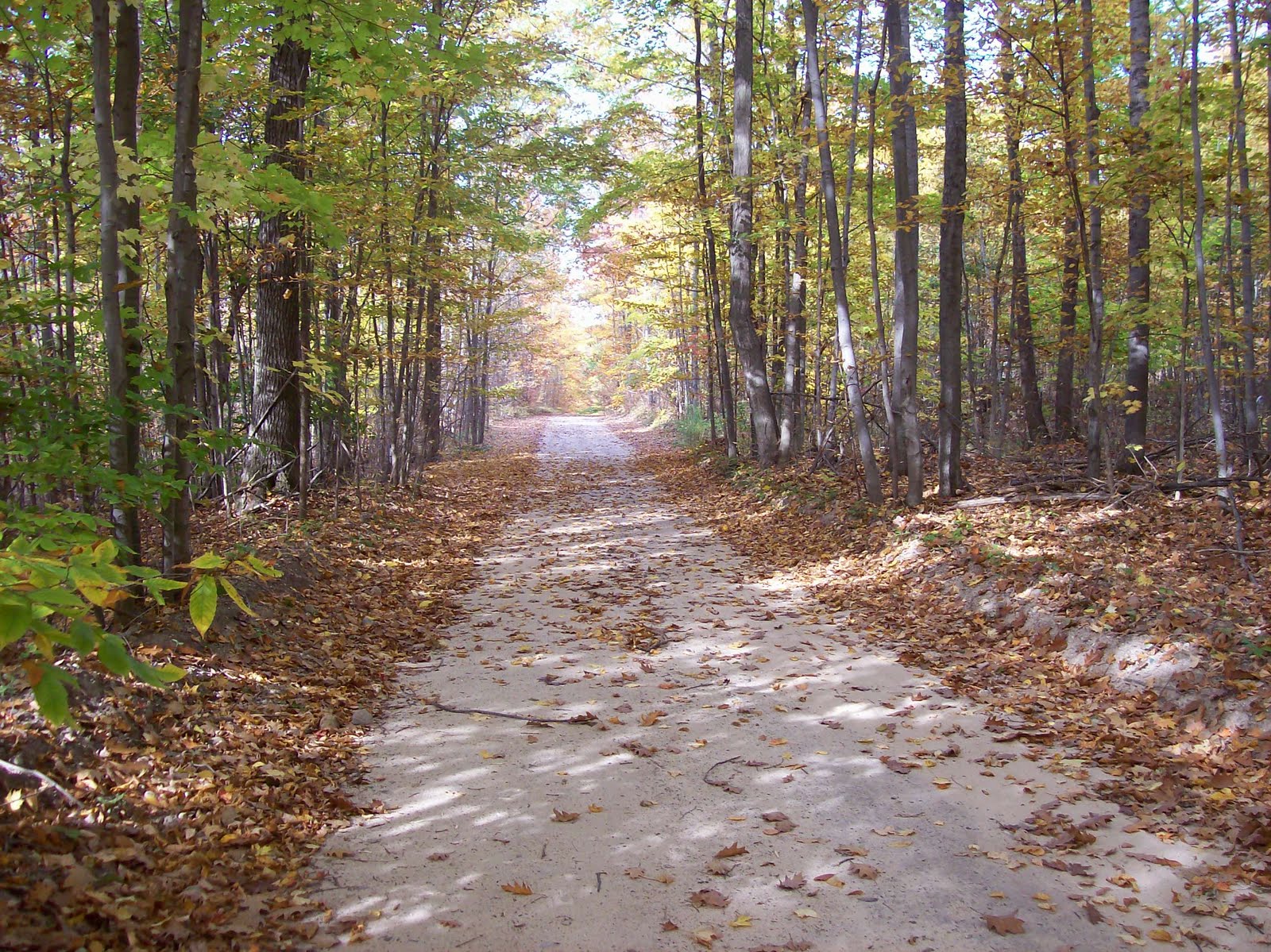 Country Reflections Two Roads Diverged In A Yellow Woods...