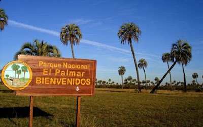 PARQUE NACIONAL EL PALMAR, ENTRE RÍOS Es uno de los paraísos que tiene el país. 