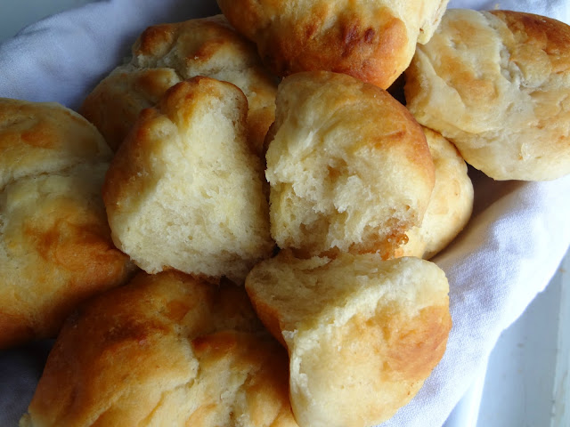 No Knead Dinner Rolls