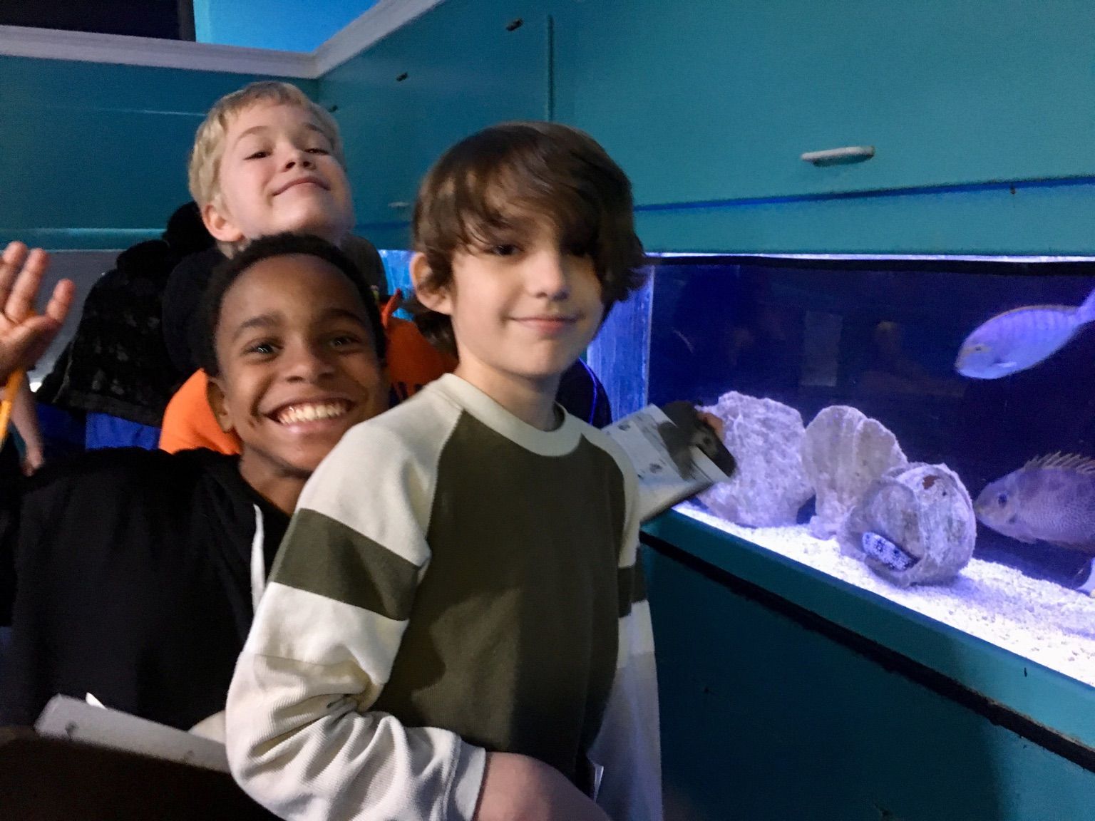 Mrs. Jenkins' News Marine Science & Education Center
