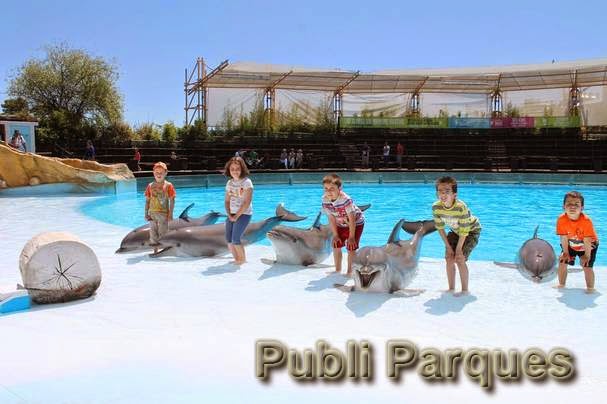 Campamentos de verano en Selwo Aventura y Selwo Marina Campamentos de verano en Selwo Aventura y Selwo Marina