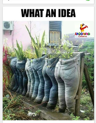 funny pic, funny funny indian funny pictures free funny images download, funny pic, facebook funny pictures, funny images, funniest picture