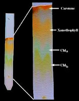 CHROMATOGRAPHY TEXTBOOK : CHROMATOGRAPHY AND ITS APPLICATIONS