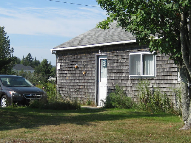 Sexy pregnant young girls