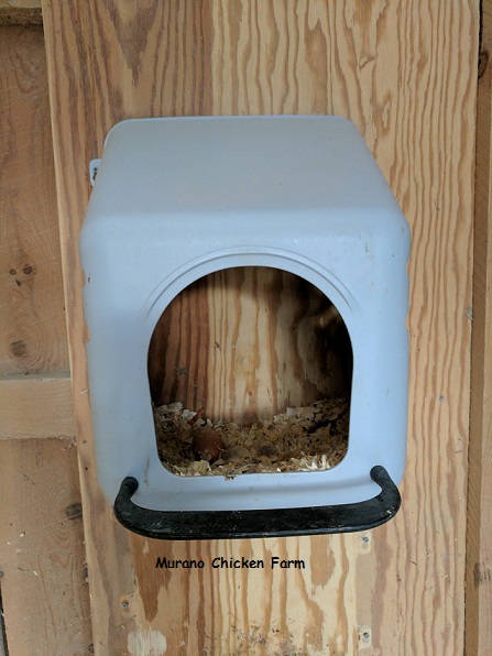Plastic nest boxes are one of the best things I bought for the coop. They clean much easier than wood and can be closed up to keep chickens from sleeping in them at night. plastic nest box in a chicken coop