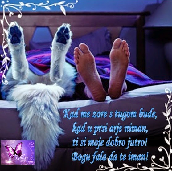 bogu fala da si tu