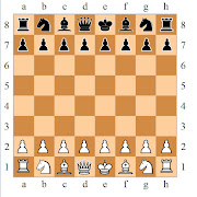 As in real war They are the basic defense for major Chess pieces.