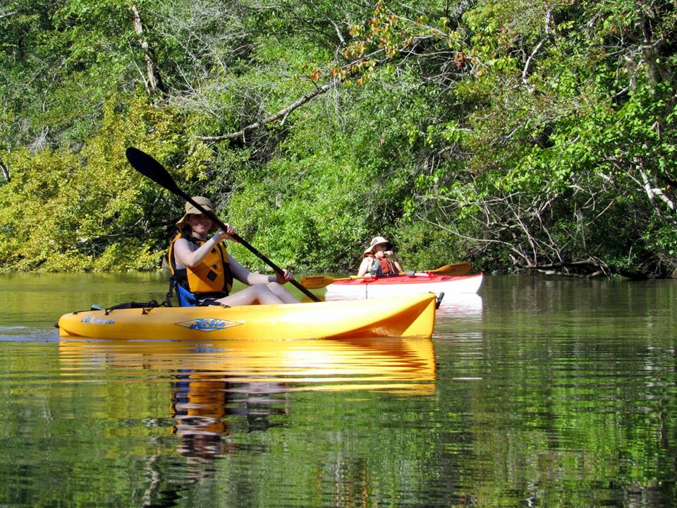 Coastal Waters Adventure Log Byrnes Lake Landing to Gravine Island