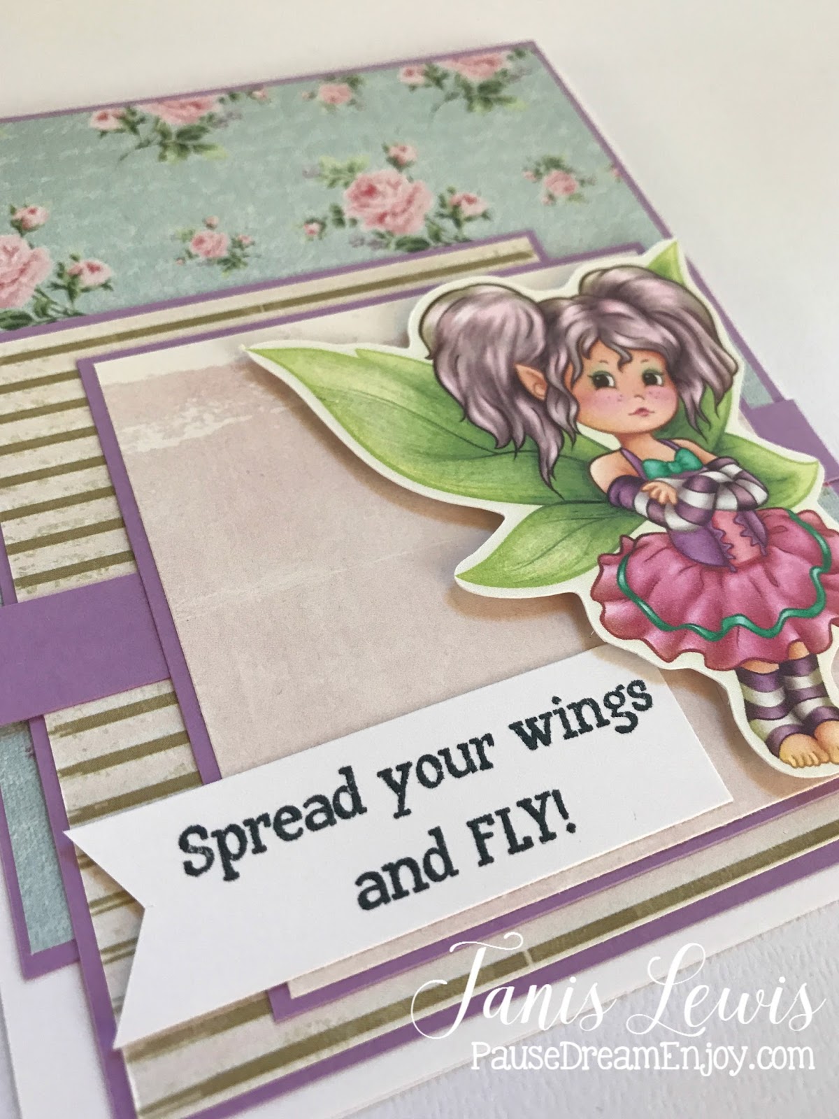 Spread your wings and fly essay 06 picture