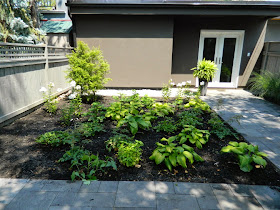 the danforth new garden design after by Paul Jung Gardening Services Toronto