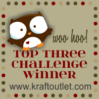 6/25/13 Top 3 Award at The Kraft Journal!