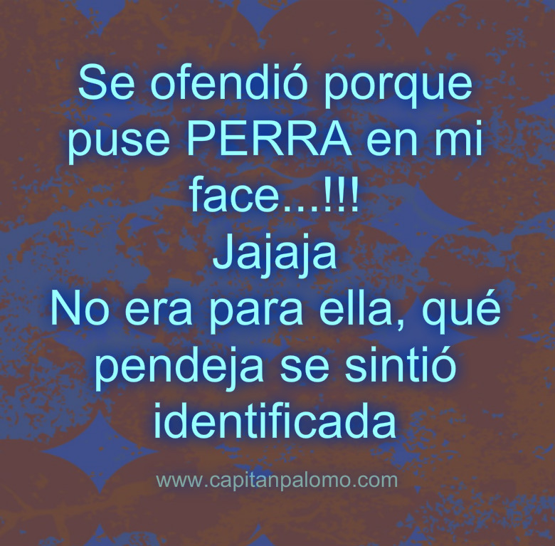 Imágenes con frases groseras para respuestas Humor Android