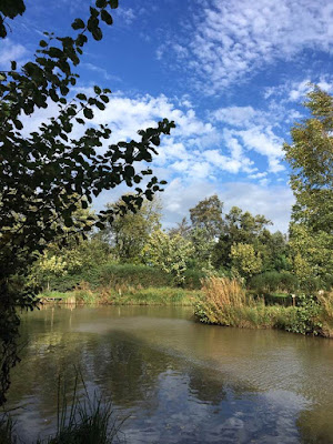 Oaks sessay results 06 picture