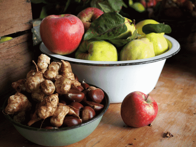 {Fresh Local Produce} Supplied by Dougal.