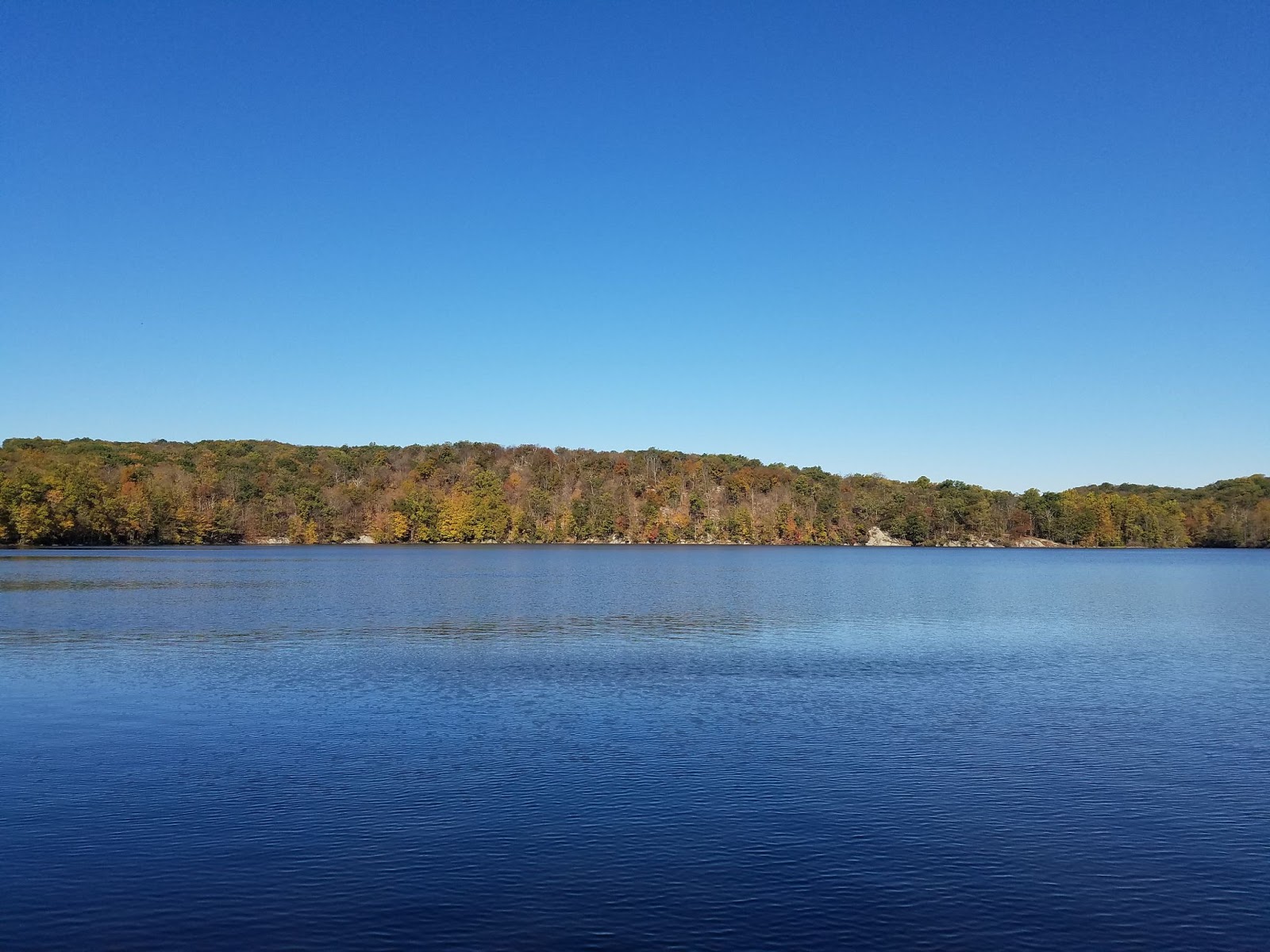 New Jersey and You Perfect Together, Liberty and