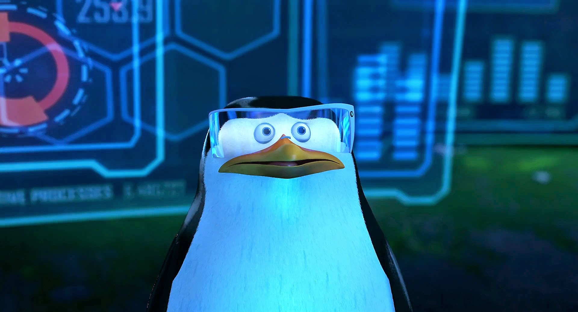 cap3.jpg