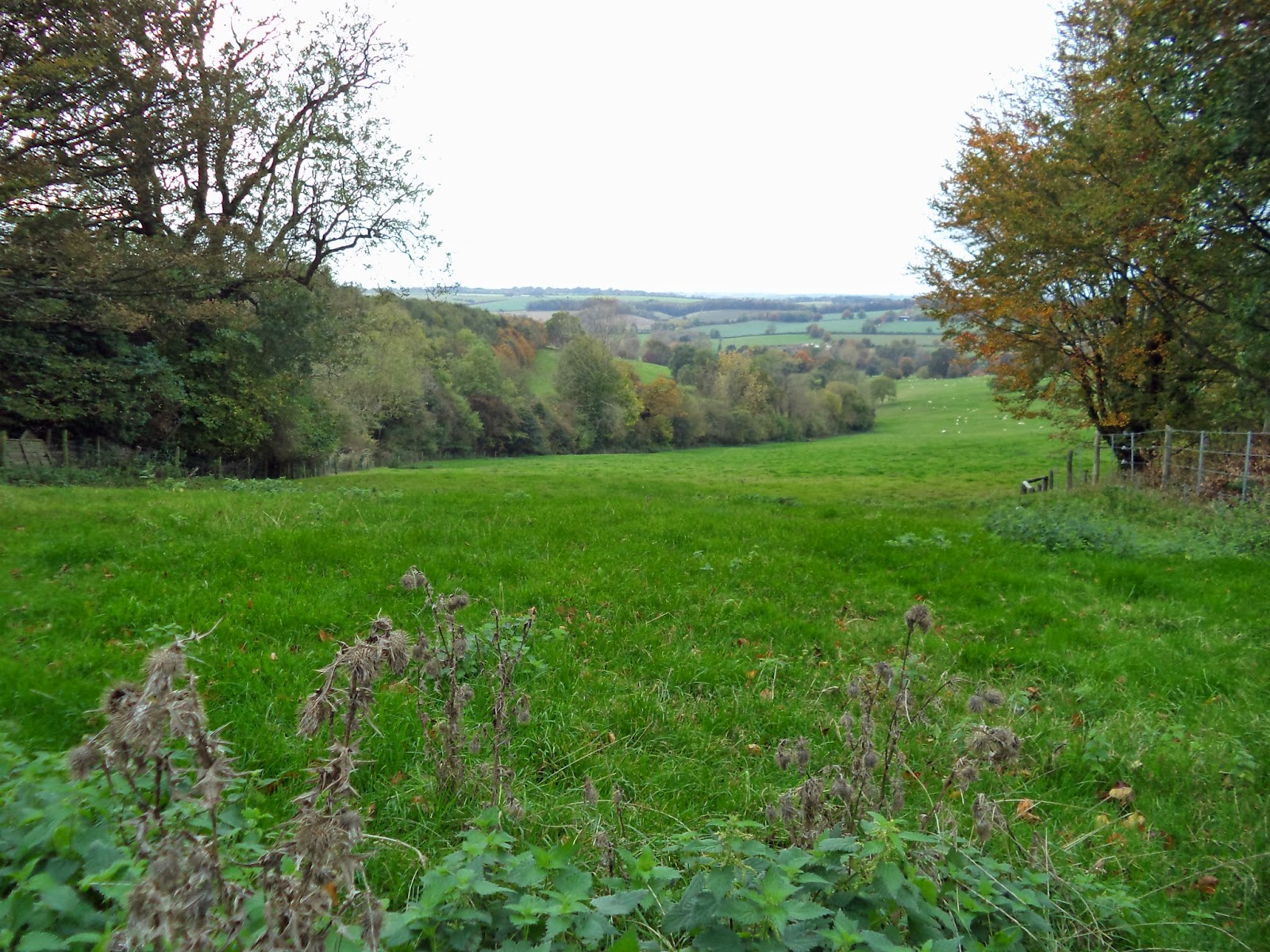 David, Vicky and Howard Dull (weather) day in The Cotswolds, Monday