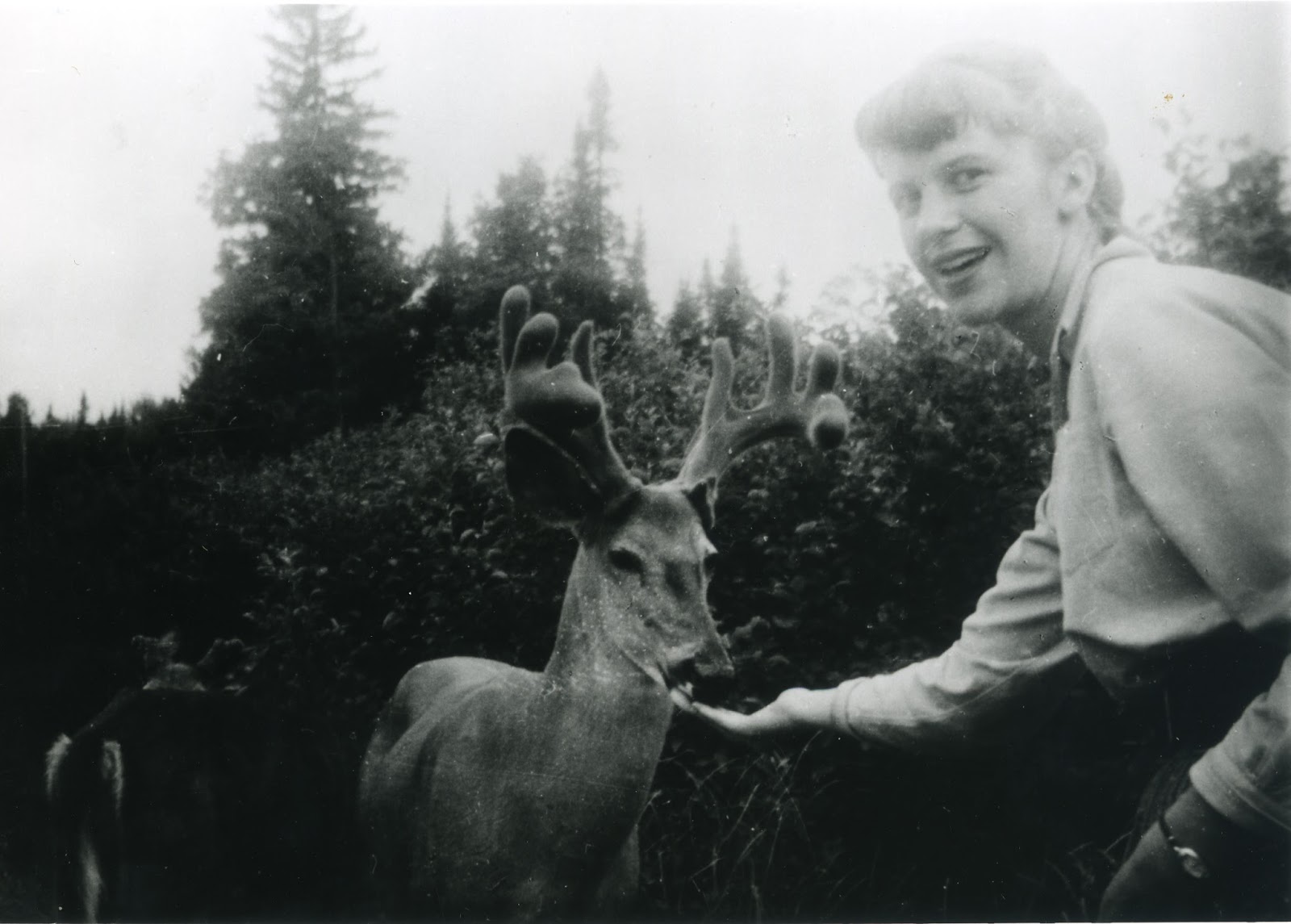 sylvia plath reminiscência e memória templo cultural delfos