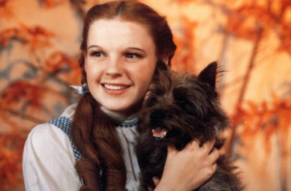 Dorothy Gale in The Wizard of Oz