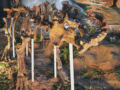 foto fosil dinosaurus di museum sangiran
