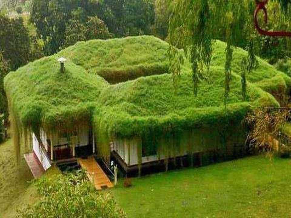 Las Fotos Mas Alucinantes: casas verdes