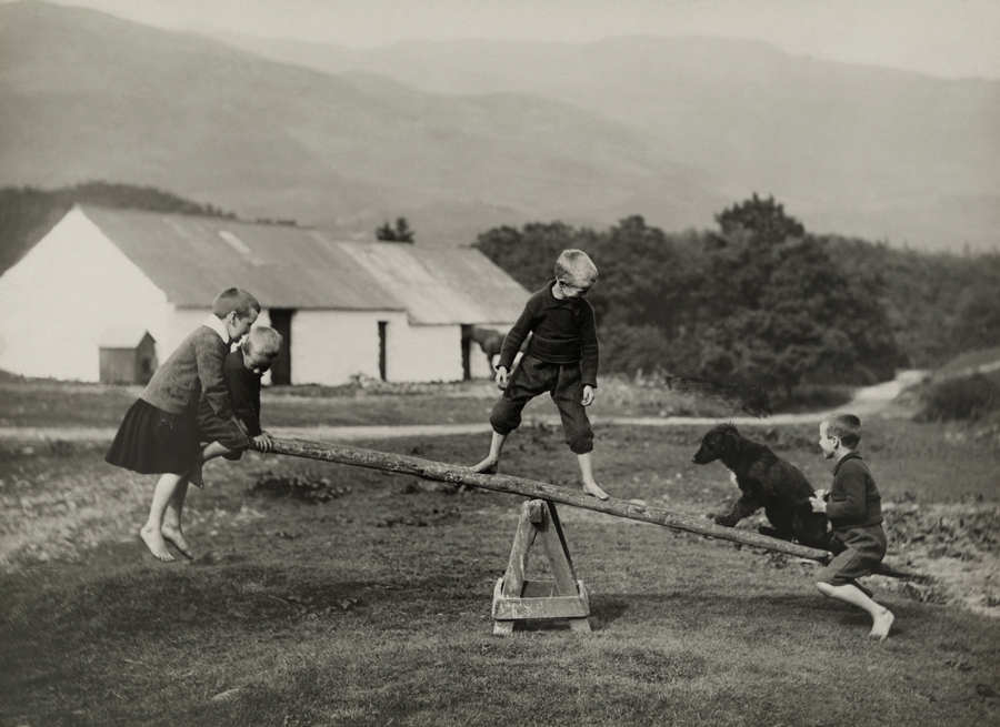Filly and Foal: The Kids of Nat Geo