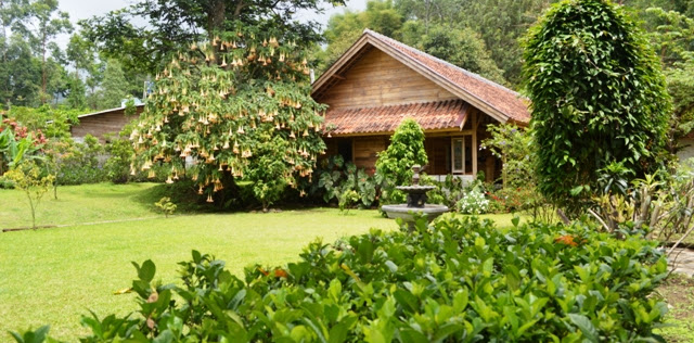 Info Alamat Dan Nomor Telepon Penginapan Kebun Mawar Garut Info Alamat Dan Nomor Telepon Penginapan Kebun Mawar Garut