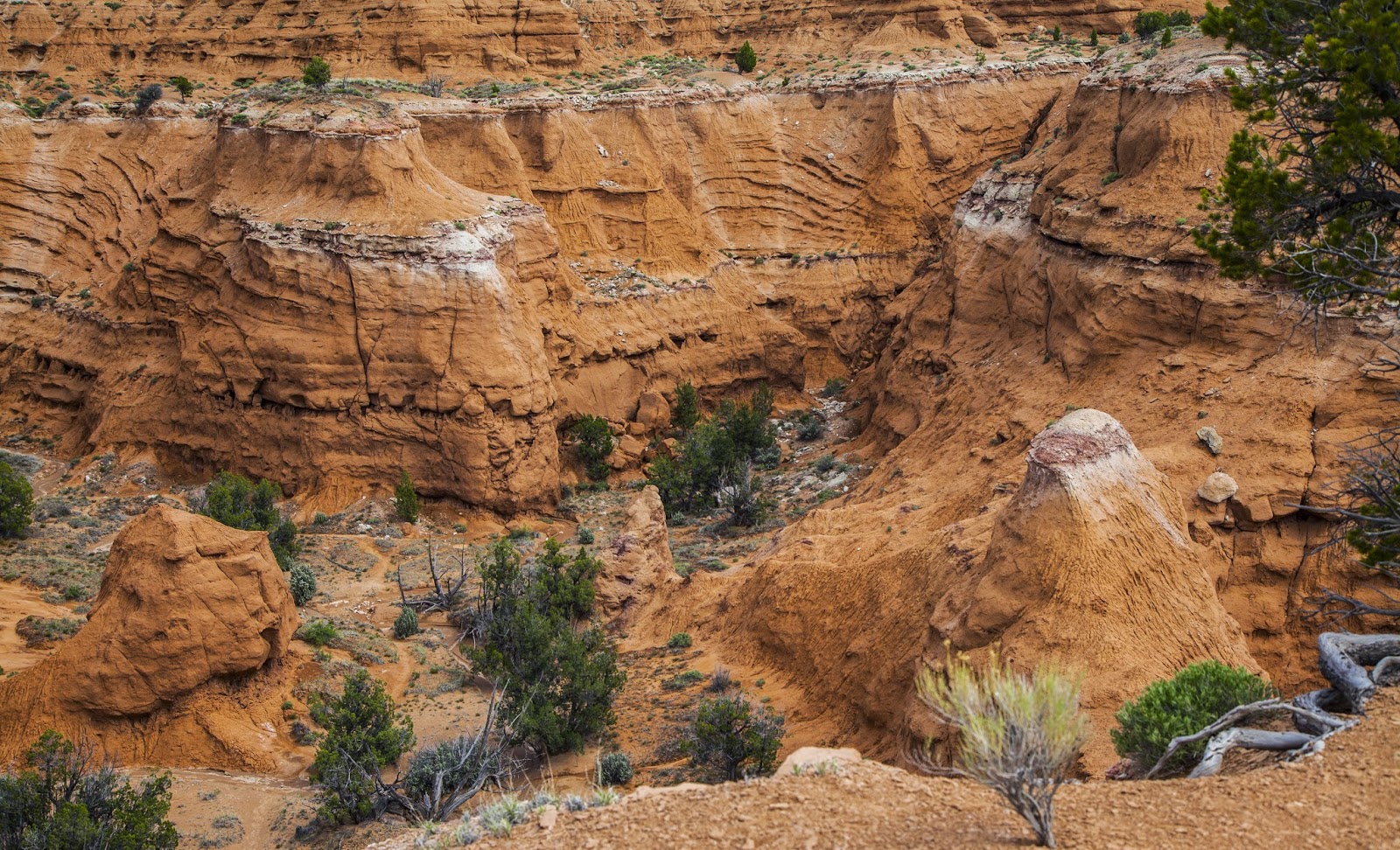 Walking Arizona Landforms in Southern Utah
