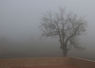 Very foggy when I finally woke up Very foggy when I finally woke up