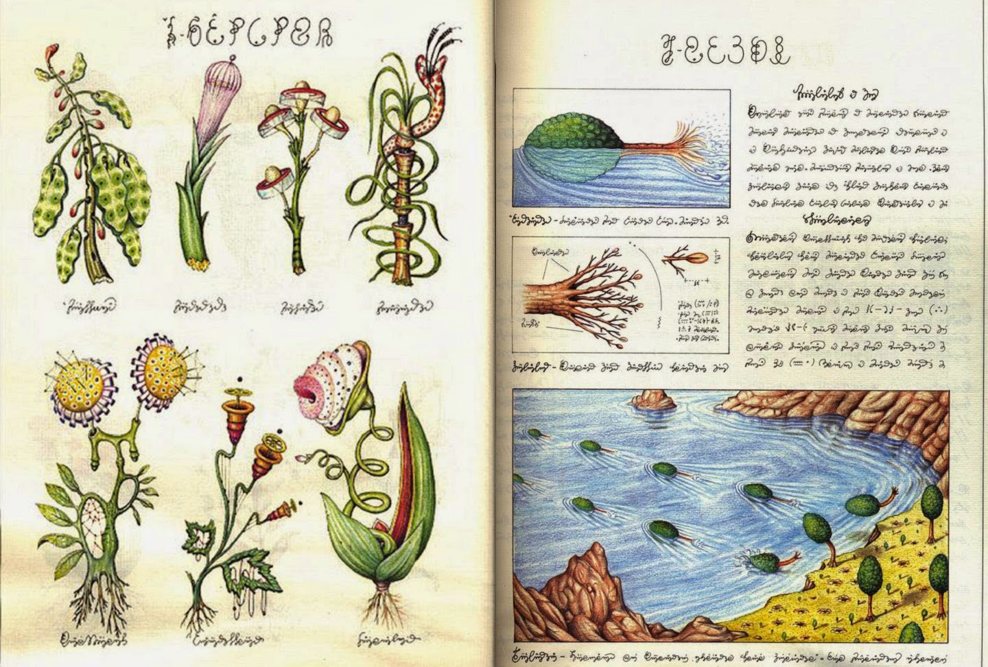 Codex Seraphinianus Codex Seraphinianus